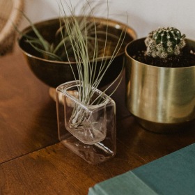 a dresser with plants